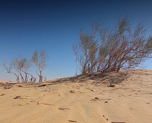 بالفيديو.. الربع الخالي مستقبل الثروة السعودية