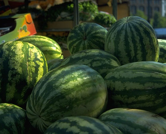 بالفيديو : حاولوا إصطياد السمك في السعودية ... فماذا إصطادوا؟