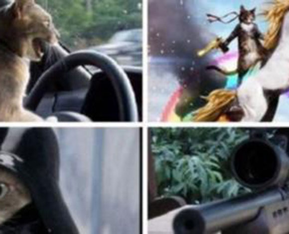 شاهد بالصور قططاً مدججة بالسلاح