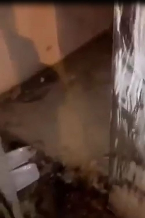 بعد جهود 3 شهور متواصلة ..سعودي ينجح في إنقاذها