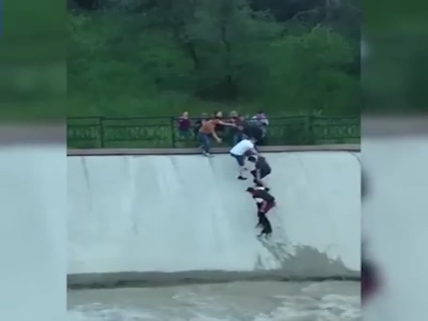 عرض حياته للخطر لإنقاذ كلب من الموت .. شاهد