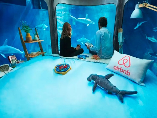 فرصة لقضاء ليلة مع القروش