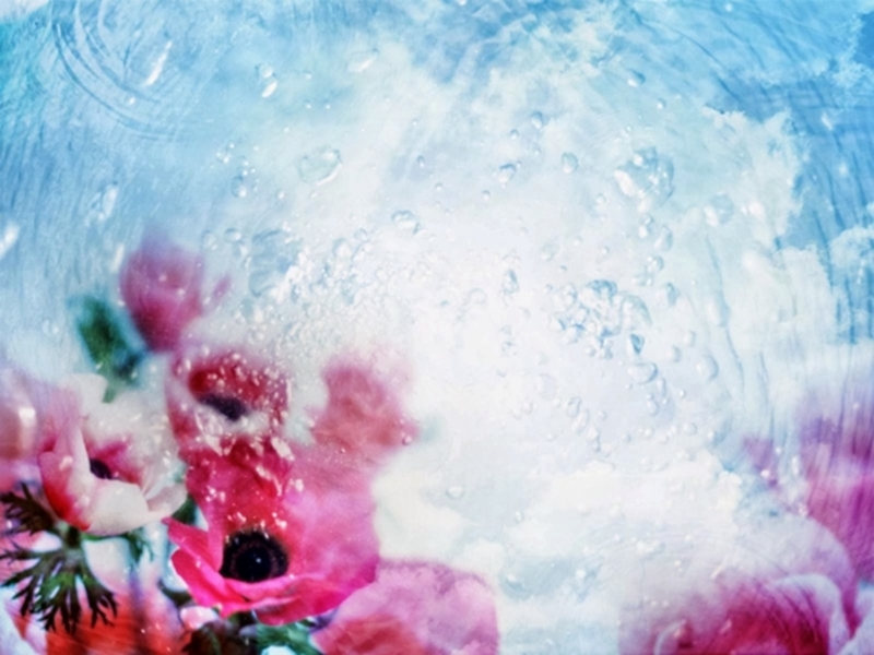 تصاميم خلفيات Ra2ed