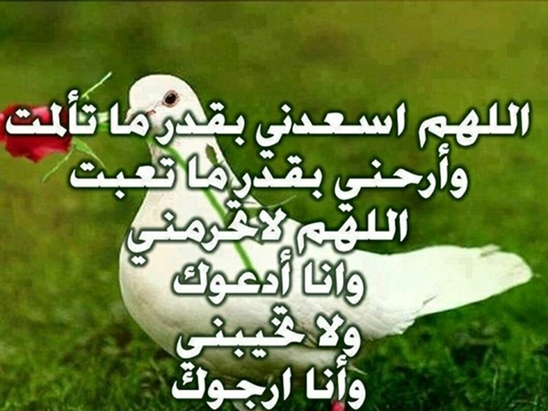 10 خلفيات أدعية رائعة لبرنامج واتس اب