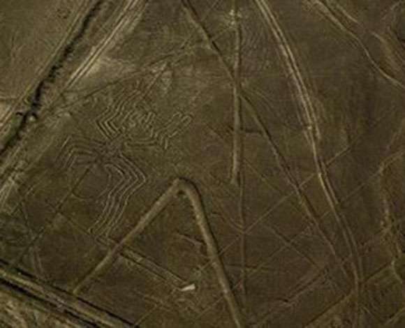 بين التصميمات الغامضة والقناديل العملاقة ... اليكم أحدث الاكتشافات العلمية لهذا الأسبوع