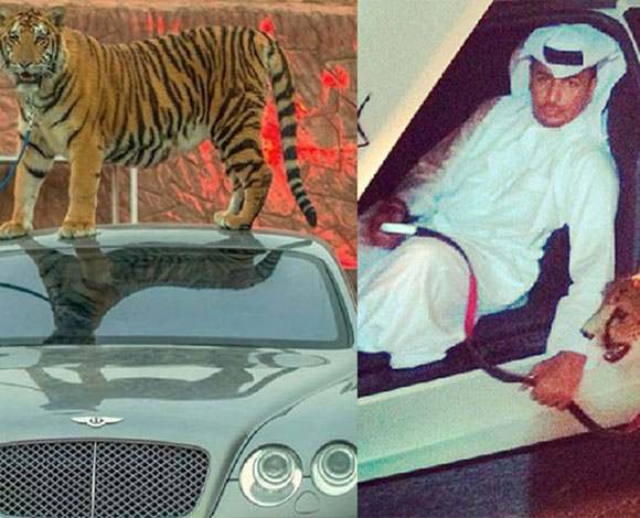 حياة اغنياء دبيّ ... ترف، رفاهية و غرابة