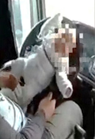 بالفيديو: والد يتجرد من إنسانيته ويربط رضيعه بمقود السيارة