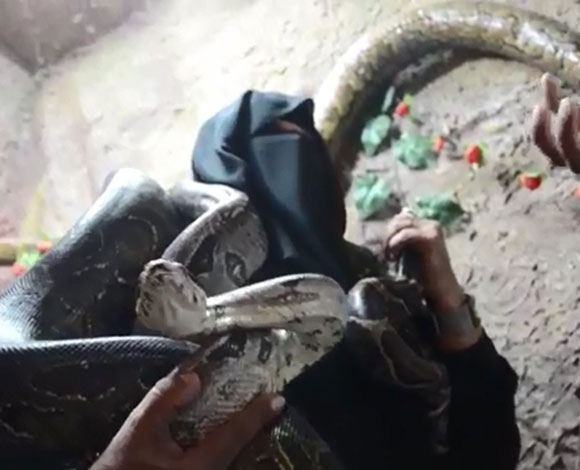 بالفيديو : سعودية هوايتها تربية الثعابين