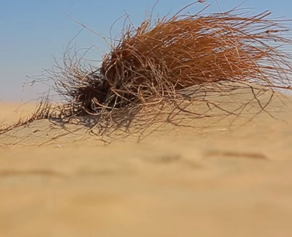 بالفيديو.. الربع الخالي مستقبل الثروة السعودية