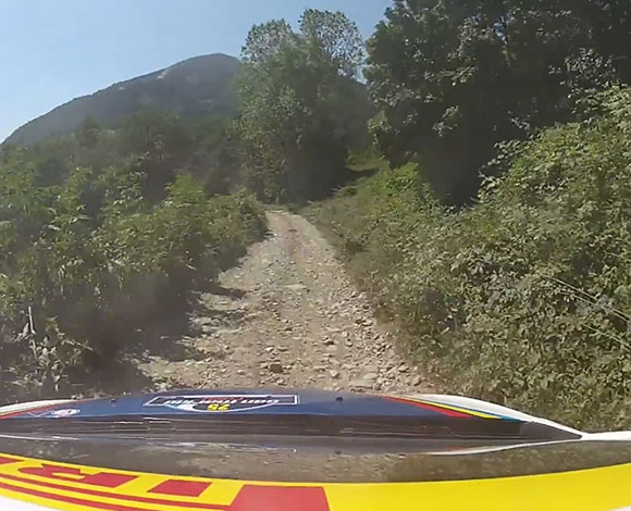 بالفيديو – سباق بين غزال وسيارة رالي