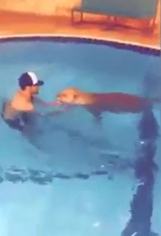 بالفيديو: سعودي يمتلك أغرب صديق في العالم