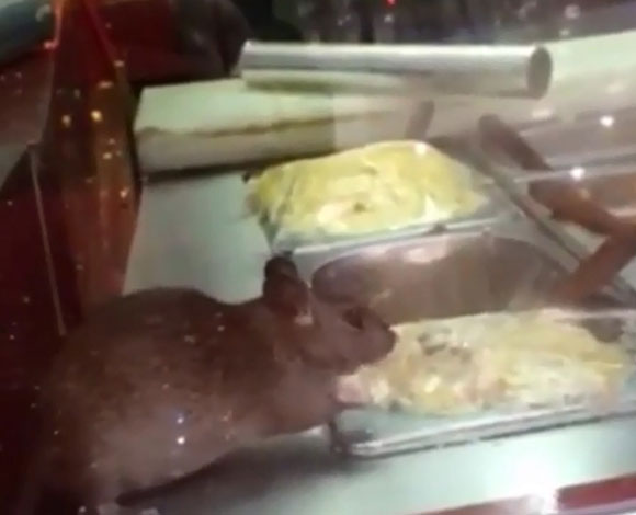بالفيديو: فضيحة في أحد المطاعم الشهيرة بالسعودية!