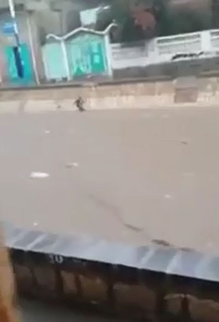 بالفيديو: سعودي ينقذ طفلاً من الموت المحتم