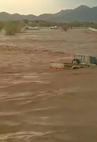 بالفيديو- سعودي يخاطر بنفسه