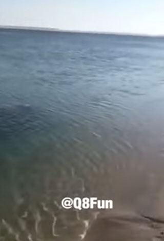 بالفيديو شباب يخرجون سيارة كويتي غارقة تماماً في البحر