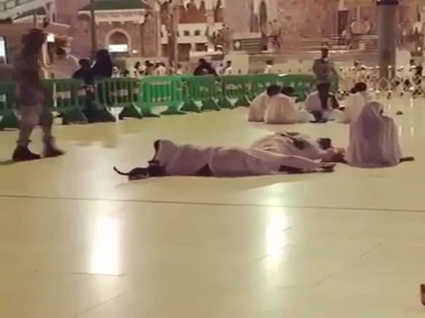 معركة حامية الوطيس بين قطين تستحوذ على الانتباه في الحرم المكي