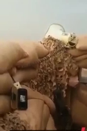 بالفيديو .. هكذا يقضي المرابطون على الحدود وقتهم