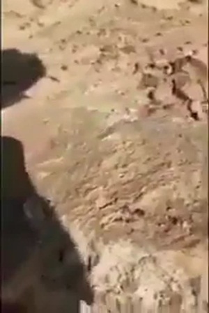 بالفيديو .. شاهد أخطاء المقاولين في بناء المبان