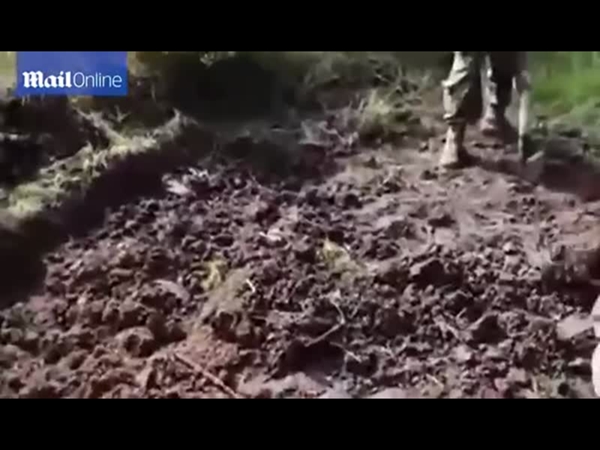 فيديو صادم .. يدفنون الرجل حيًا