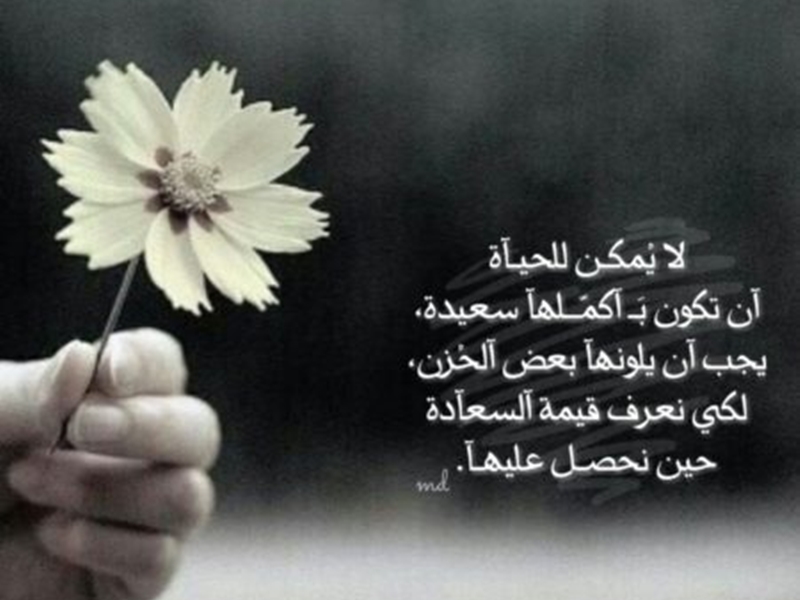 رمزيات انستقرام بنات