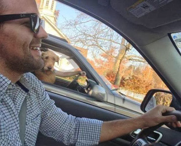 35 صورة التقطت في اللحظة المناسبة 