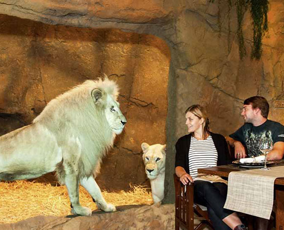 في فندق Jamala Wildlife Lodge: غذاؤك قرب الأسود وتجربة لن تصدقها