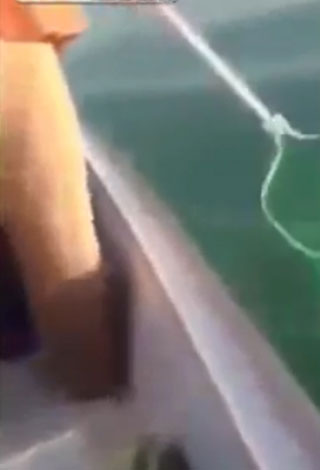 بالفيديو : حاولوا إصطياد السمك في السعودية ... فماذا إصطادوا؟