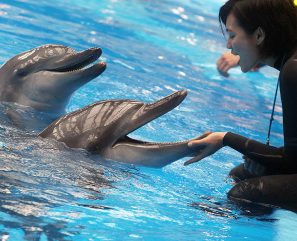 10 أماكن ينصح بالتوجه إليها عقب الانفصال