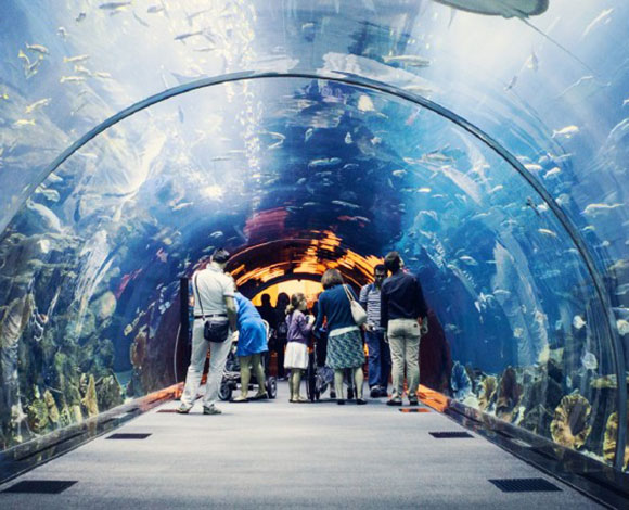 10 طرق مجنونة يمكن من خلالها إنفاق الأموال عند زيارة دبي