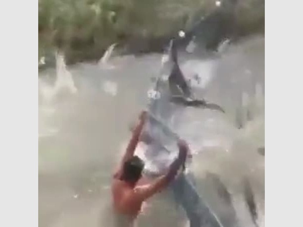 شاهد أفواج السمك وهي تضرب الصيادين في النهر