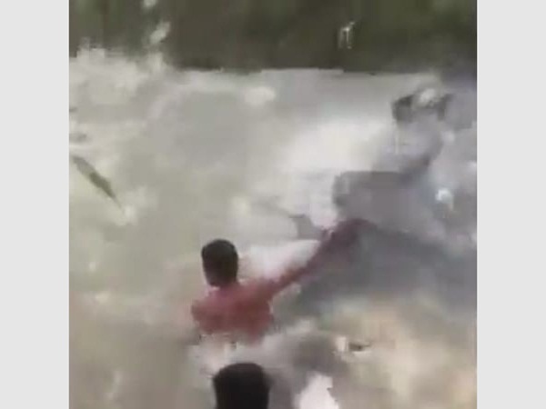 شاهد أفواج السمك وهي تضرب الصيادين في النهر