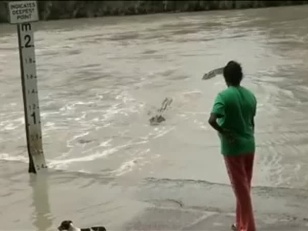 شاهد كيف حاربت هذه السيدة هذا التمساح ببساطة