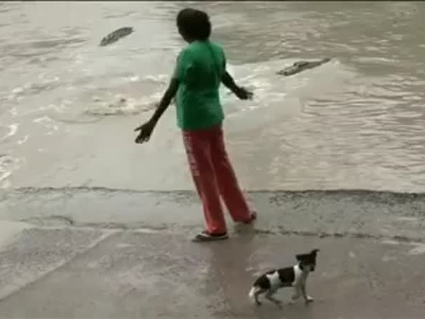 شاهد كيف حاربت هذه السيدة هذا التمساح ببساطة