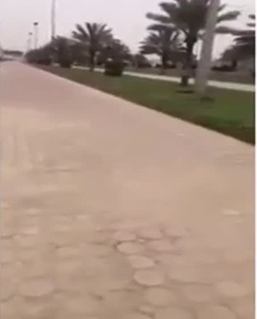 لماذا سخر هذا المواطن من لافتات حديقة تبوك .. فيديو