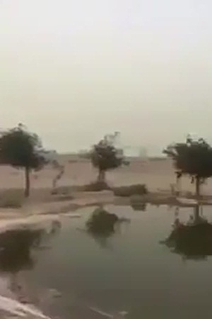 ينشئ محمية طبيعية مصغرة للحيوانات والطيور