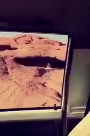 بالفيديو .. هكذا يمكنكم توفير المياه للطيور