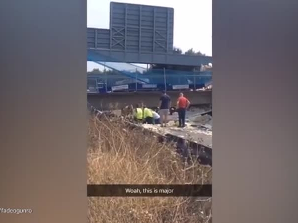 فيديو يثبت لماذا يجب الالتزام بتعليمات المرور