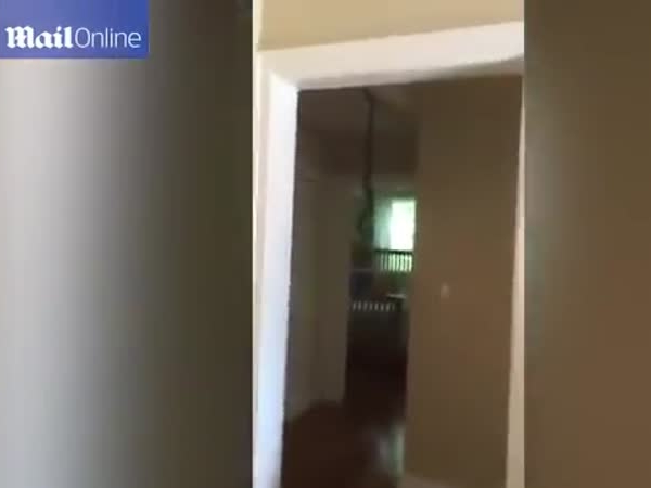 فيديو مرعب .. يعود إلى منزله ليفاجأ بهذا