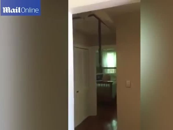 فيديو مرعب .. يعود إلى منزله ليفاجأ بهذا