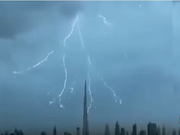 شاهد شجرة البرق في دبي
