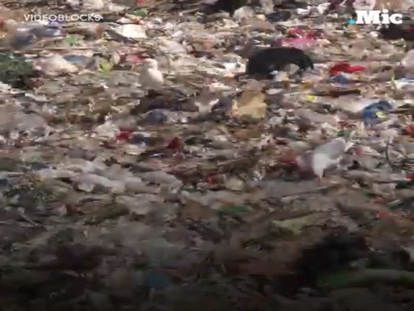 السويد تطالب دول العالم بالحصول على قمامتهم