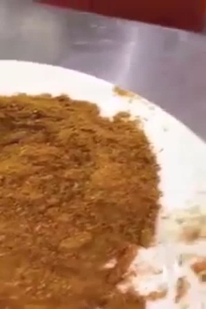 فيديو مقزز .. مواطن يكتشف وجود صراصير في طبقه