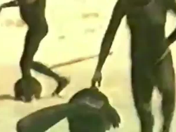 بالفيديو .. سكان جزيرة يقتلون كل من يزورها