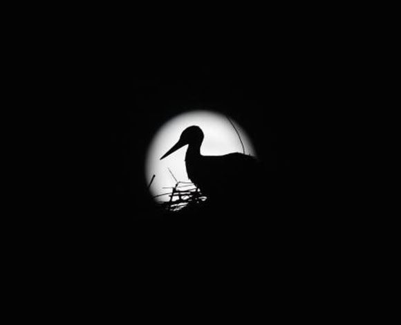 "Supermoon" الظاهرة القمرية الكاملة... بالصور