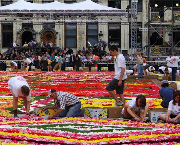اكبر سجادة من الورود في العالم بـ 750 الف وردة