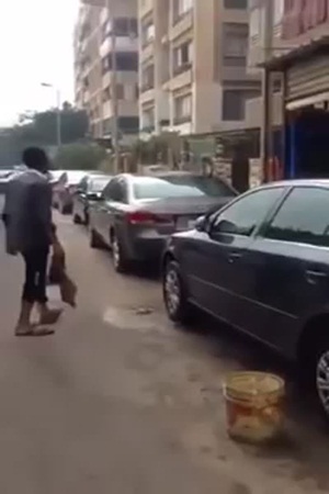 شاهد .. قرد هارب يقفز فوق سطح إحدى السيارات مسببًا الذعر
