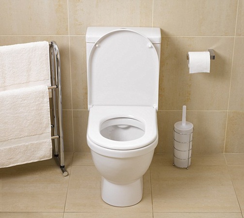 قدم استقالته على ورق المرحاض نكاية في مديره