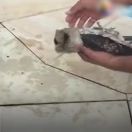 شاهد كيف أصبح هذا الأب بطلًا في أعين ابنه