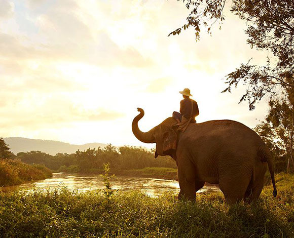 منتجع Anantara Golden Triangle Elephant .. سحر وتميز