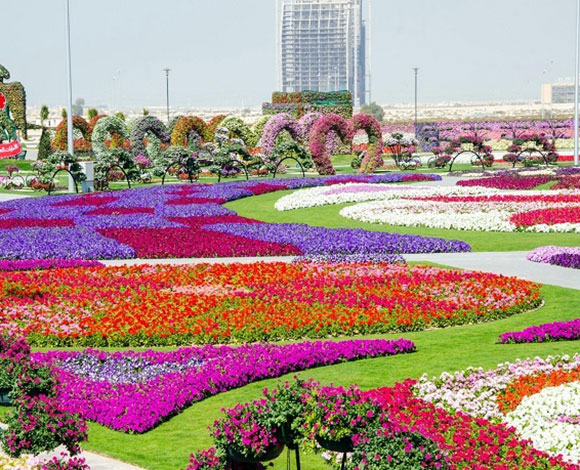 ابرز 10 اماكن قصدت في الإمارات عبر فيس بوك